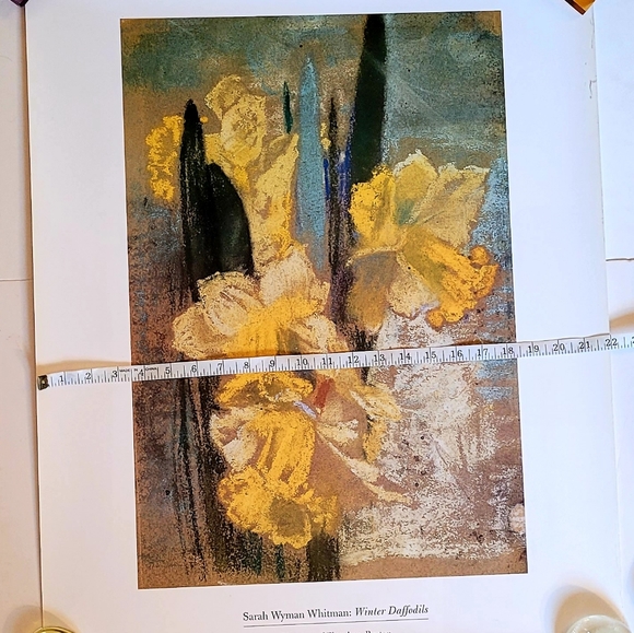 NWOT Winter Daffodils Print - Picture 4 of 7